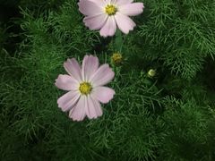 -回龙观体育文化公园