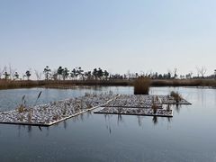 -鹦鹉洲湿地公园