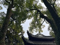 -天一阁博物院