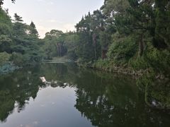 -叶家花园
