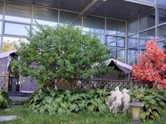 -中家鑫园温泉酒店鑫悦汤泉