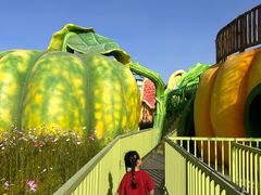 -水上乐园·欢乐世界