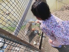 -前小桔亲子创意农场·草莓采摘·露营烧烤