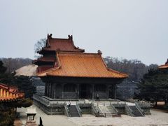 -北陵公园