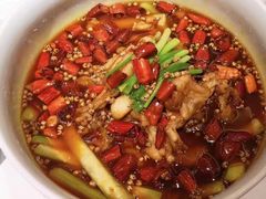 -沸腾鱼乡(知春路分店)