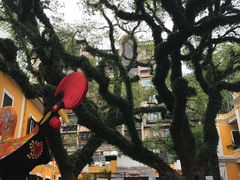 -ALBERGUE 1601 婆仔屋葡国餐厅