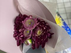 -小苍兰风铃草蛋糕甜品(沈阳店)