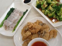 -柳饮·春柳酒家