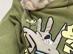 -宠颐生汉谟拉比宠物医院