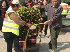 -珠海市体育中心-游泳馆