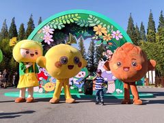 -黄海国家森林公园