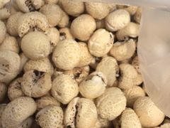 -高玛纳驴肉火烧(一世界店)