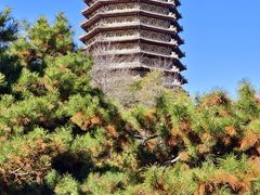 -玲珑塔公园