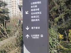 -莲湖公园