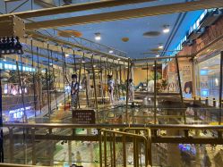 -卡通尼·Safari非洲探索乐园·生日会(金桥国际商业广场店)