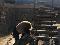 景点-北京动物园