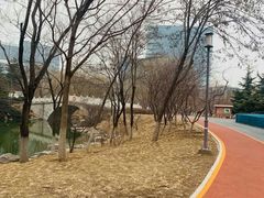 -大兴滨河森林公园