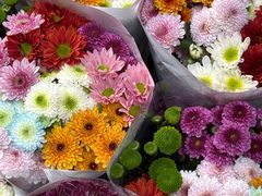 -循礼门鲜花花市(武汉循礼门店)