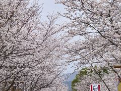 -长田漾湿地公园
