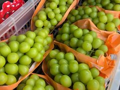 -西郊国际农产品交易中心