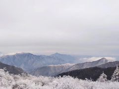-秦岭风景区