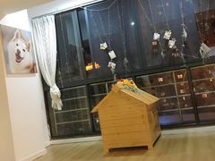 -Husky Go! 哈士奇体验馆·宠物咖啡厅狗咖