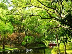 -上海共青森林公园