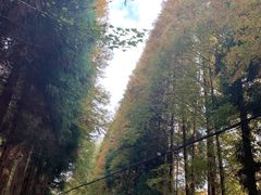 -山王坪喀斯特国家生态公园