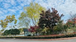 -雅馨国际月子中心