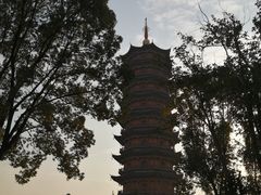 -葛仙湖公园