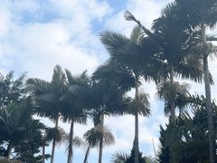-墨江北回归线标志园