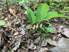 -玉渡山风景区-售票处