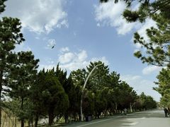 -山东八大碗山东老字号