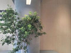-M Stand(南京新街口金鹰店)