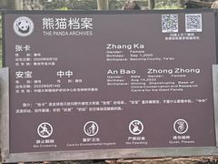 -都江堰中华大熊猫苑