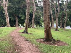-顺峰山公园