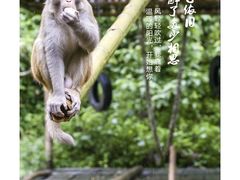 -西双版纳原始森林公园