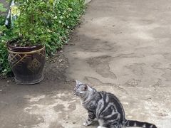 -奉天宴遇烧烤·冒锅