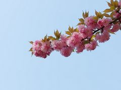 -陶然亭公园