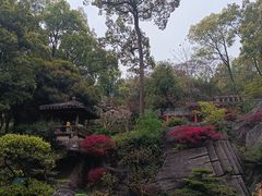 -南山植物园