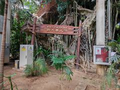 -龙达温泉生态城