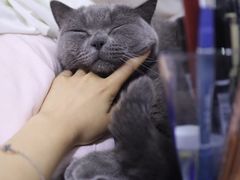 -佳能相机·普晶官方店(成都华凌西南婚纱摄影器材城店)