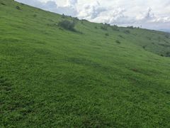 -大姆山草场