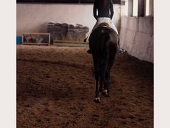 -月河湾马术俱乐部(朝阳店)