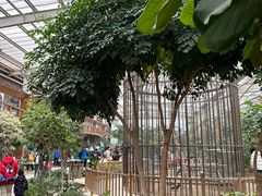 -南宫五洲植物乐园