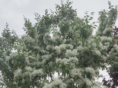 -经纬广场