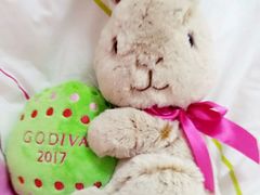-GODIVA(海岸城店)