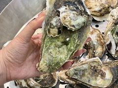 -飞尝蚝·顺德菜·鱼生(顺德总店)