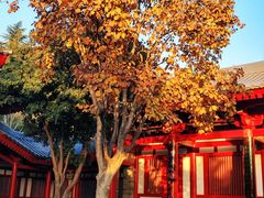 -大慈恩寺(大雁塔)
