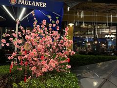 -宝莱纳餐厅(滨江店)